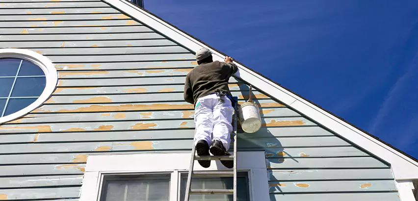 Professional Roof and Siding Repair Services in Ramona, CA