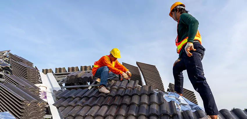 Professional Roofing Services in Ramona, CA