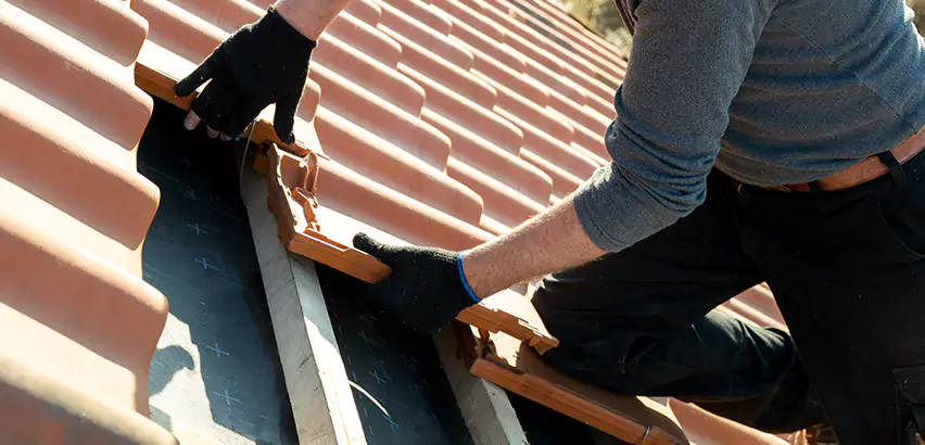 Professional Tile Roof Restoration Services in Ramona, CA