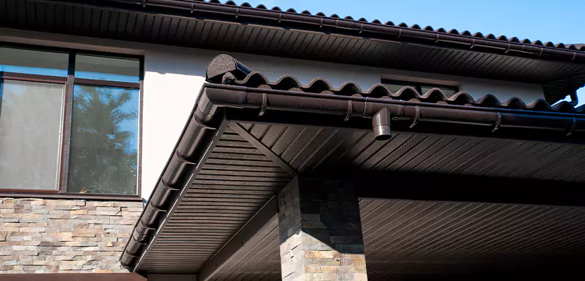 Soffit Damage Repair in Ramona