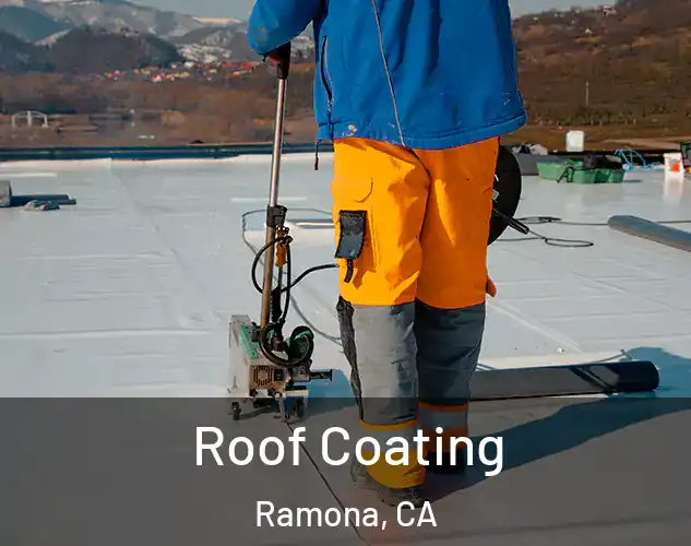  Roof Coating Ramona, CA