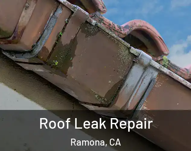  Roof Leak Repair Ramona, CA