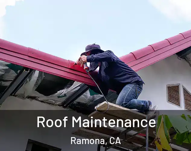  Roof Maintenance Ramona, CA